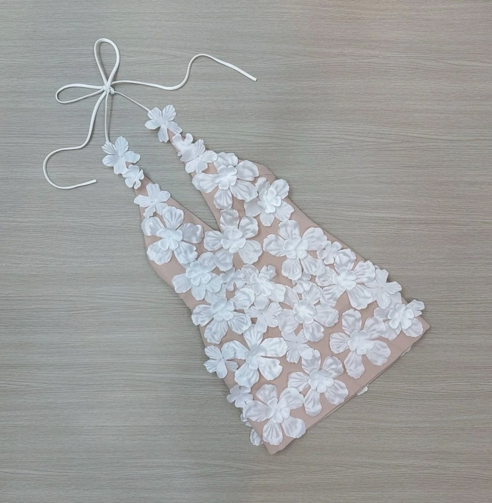 Pre-order: Romina Dress (Version 3)