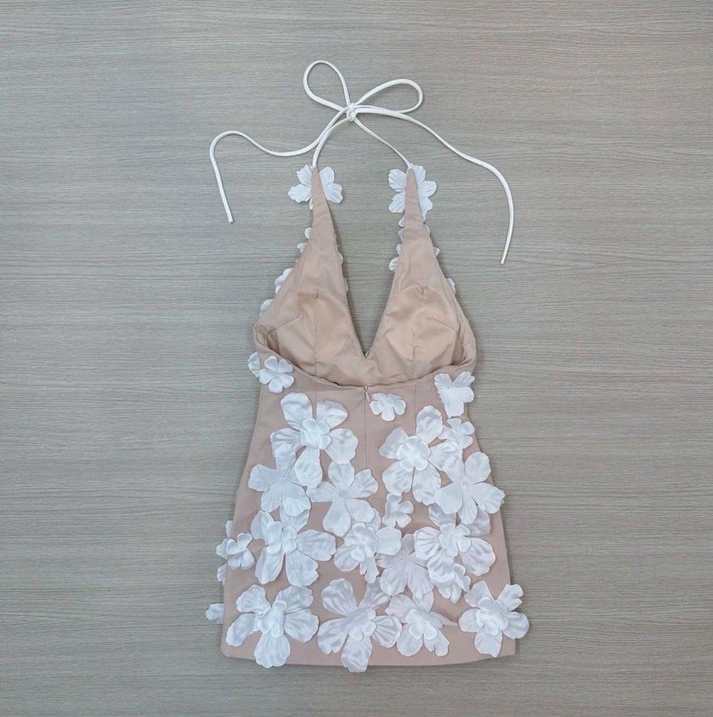 Pre-order: Romina Dress (Version 3)